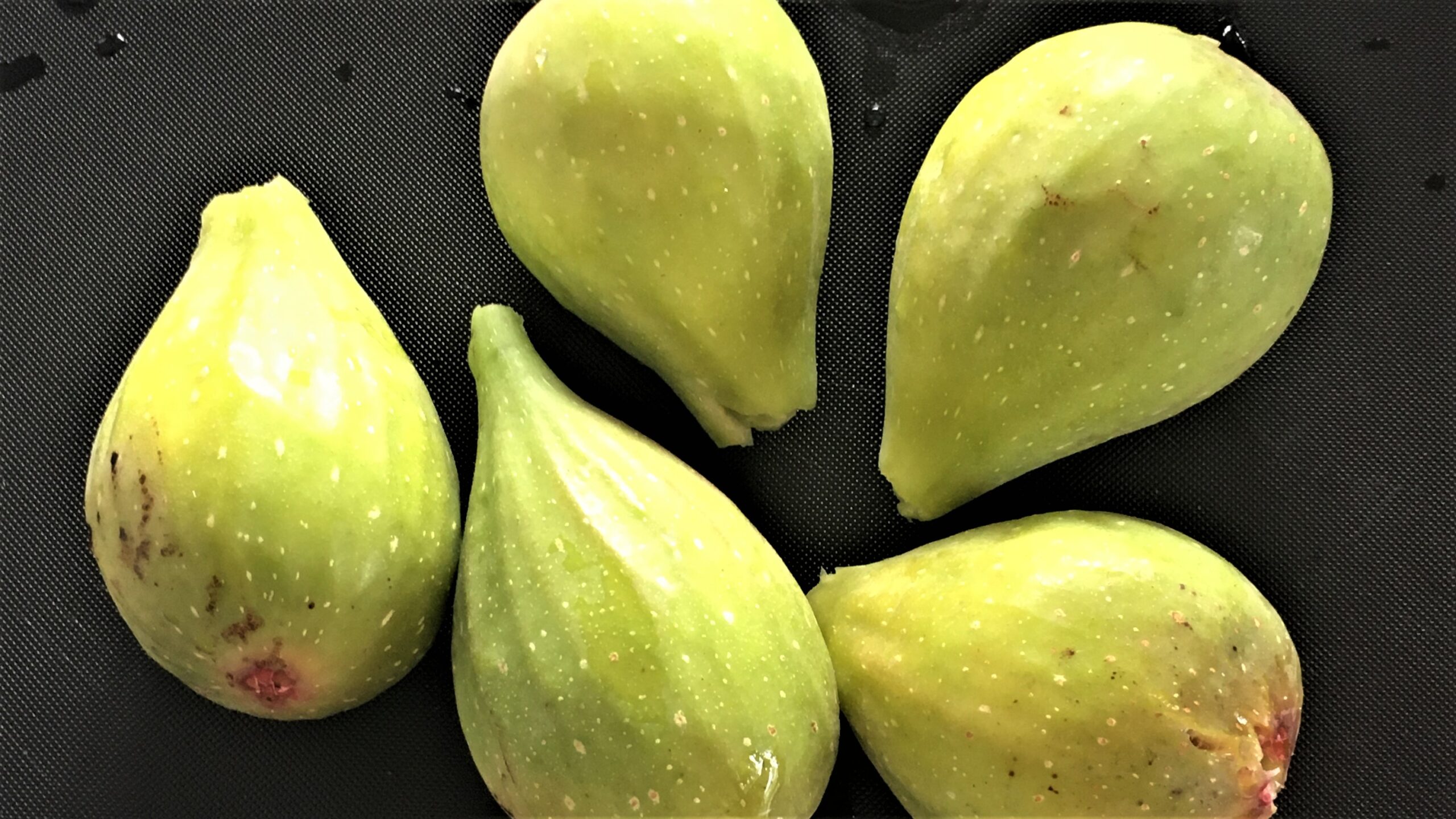 自宅のいちじく – 中津川農園